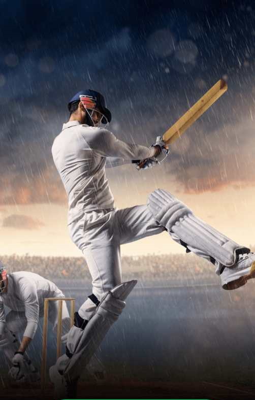 Prince SCHOOL Banner